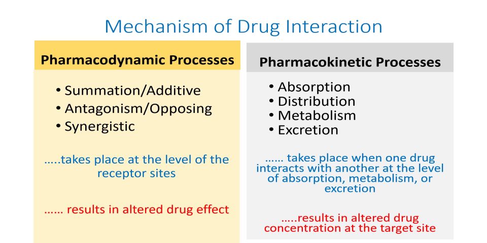 Prescribing Logbook & Drug Interactions Part 1 (MP4) | media.heanet.ie
